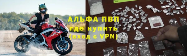 эйфоретик Каменногорск