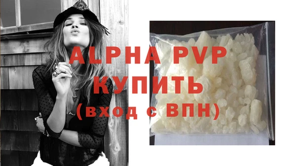 стафф Каменка