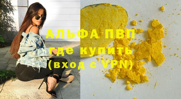 стафф Каменка