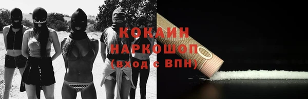 стафф Каменка