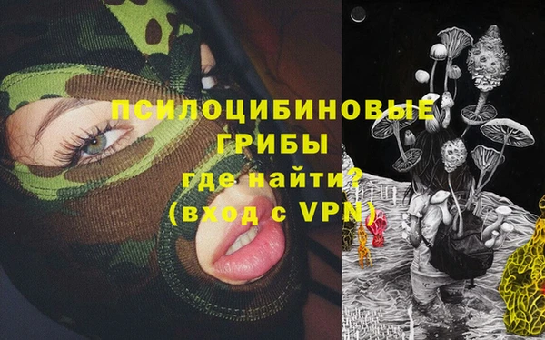 стафф Каменка