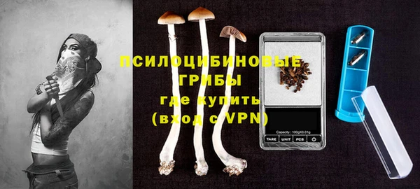 эйфоретик Каменногорск