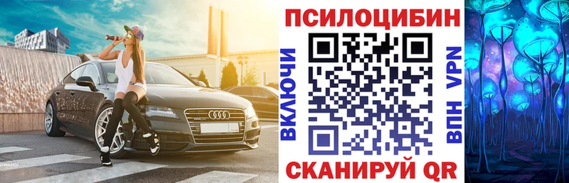 Купить где  Тула  Псилоцибиновые грибы мухоморы 